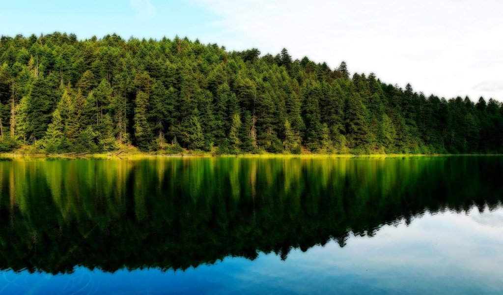 Обои озеро, природа, лес, отражение леса и неба, lake, nature, forest, reflection of forest and sky разрешение 1920x1080 Загрузить