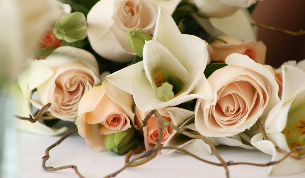 Обои цветы, rozy, svadba, бутоны, romantika, розы, романтика, букет, свадьба, красиво, cvety, krasivo, flowers, buds, roses, romance, bouquet, wedding, beautiful разрешение 1920x1200 Загрузить