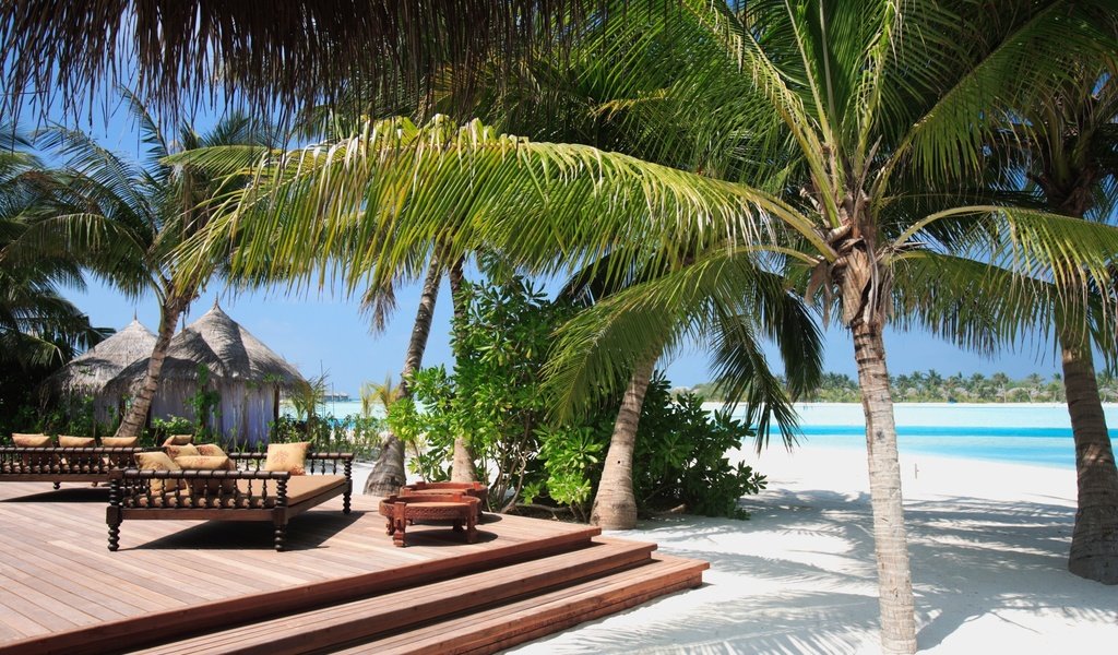 Обои пляж, пальмы, тропики, мальдивы, beach, palm trees, tropics, the maldives разрешение 2560x1706 Загрузить