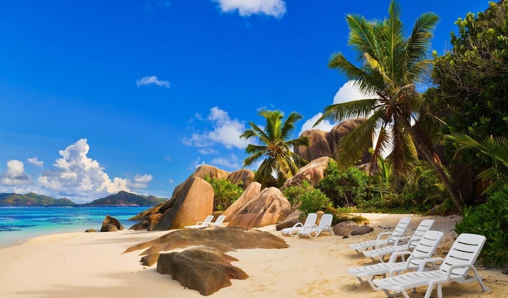 Обои пляж, пальмы, тропики, сейшелы, beach, palm trees, tropics, seychelles разрешение 1920x1080 Загрузить