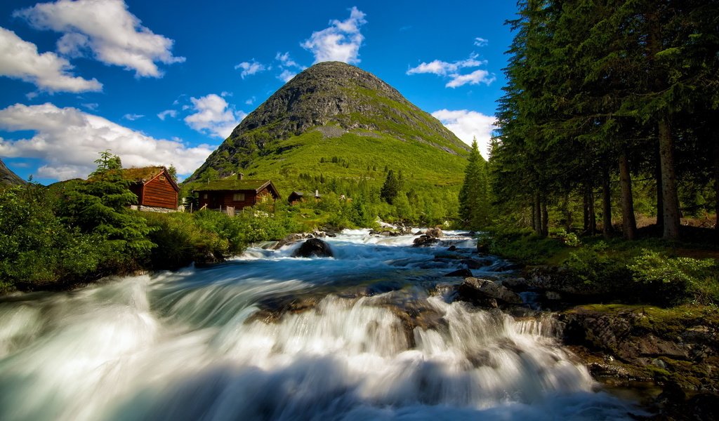 Обои деревья, река, лес, пейзаж, гора, поток, норвегия, trees, river, forest, landscape, mountain, stream, norway разрешение 2560x1600 Загрузить