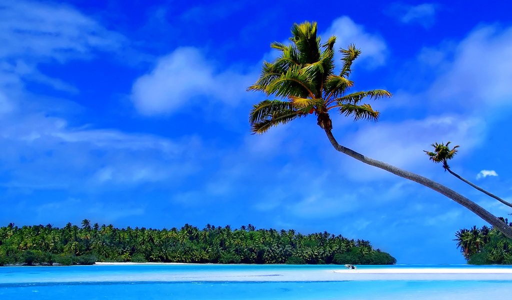 Обои остров, тропики, мальдивы, island, tropics, the maldives разрешение 1920x1080 Загрузить