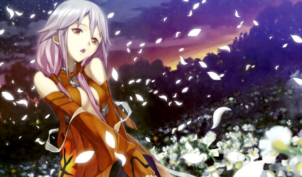 Обои девушка, аниме, звежды, cvety, nebo, noch, guilty crown, леспестки, girl, anime, zvezdy, lepestki разрешение 1920x1080 Загрузить