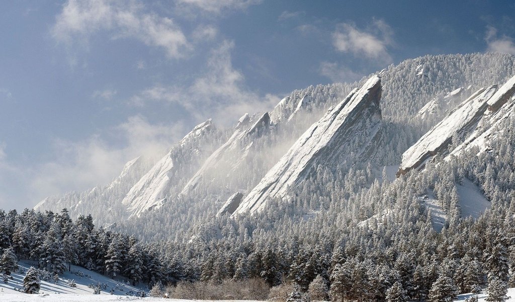 Обои деревья, горы, снег, зима, trees, mountains, snow, winter разрешение 1920x1080 Загрузить