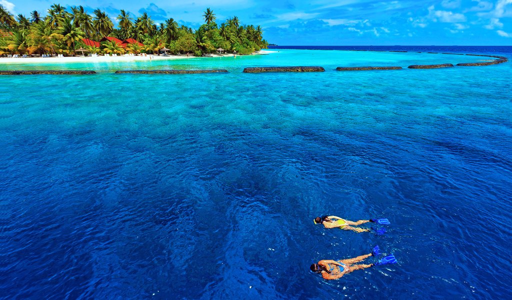 Обои море, остров, тропики, мальдивы, дайвинг, sea, island, tropics, the maldives, diving разрешение 5631x3764 Загрузить