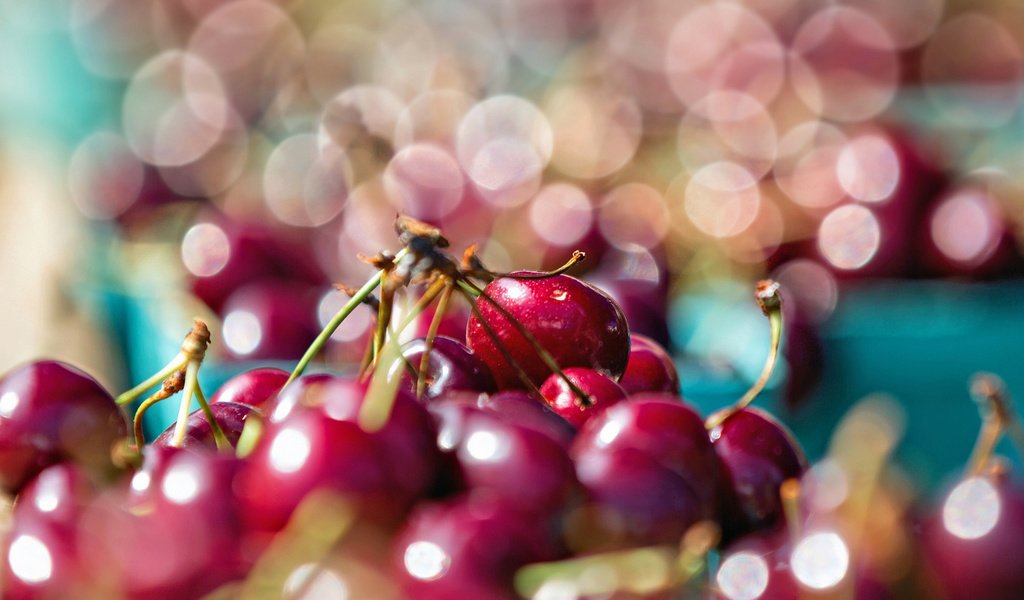 Обои ягода, блики, черешня, вишня, боке, berry, glare, cherry, bokeh разрешение 1920x1280 Загрузить