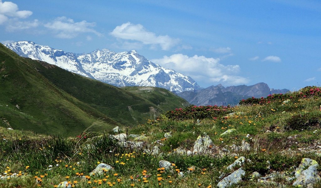 Обои италия, перевал пенсер-йох, italy, pass spencer-joch разрешение 2560x1440 Загрузить