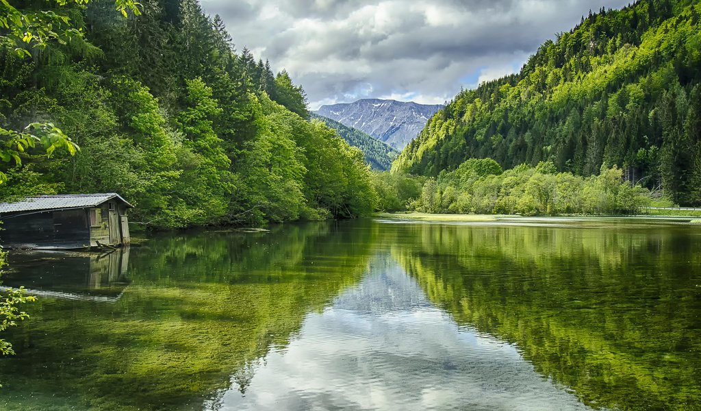 Обои деревья, вода, озеро, горы, природа, пейзаж, австрия, green lake, trees, water, lake, mountains, nature, landscape, austria разрешение 1920x1200 Загрузить