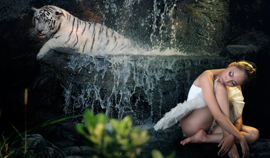 Обои тигр, девушка, фон, tiger, girl, background разрешение 2560x1600 Загрузить