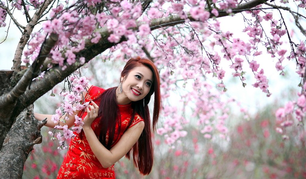 Обои девушка, фон, взгляд, весна, азиатка, girl, background, look, spring, asian разрешение 2560x1440 Загрузить