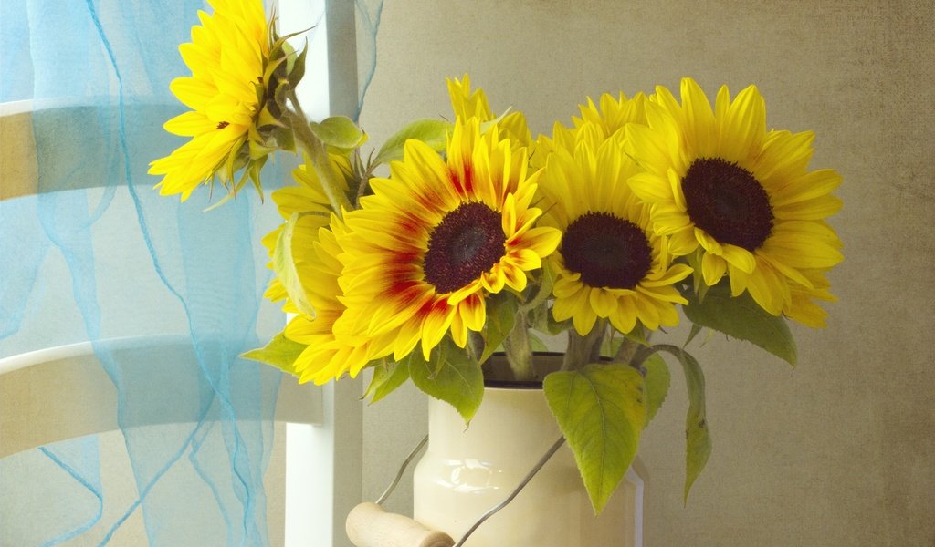 Обои цветы, лепестки, подсолнух, букет, окно, желтые, бидон, flowers, petals, sunflower, bouquet, window, yellow, cans разрешение 3456x2402 Загрузить