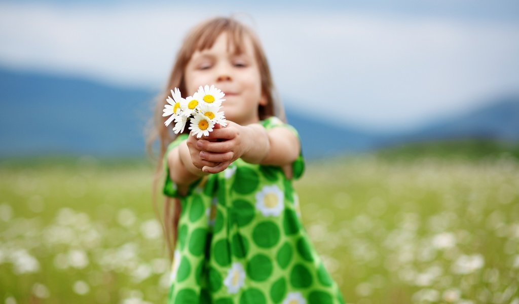 Обои платье, поле, дети, девочка, ромашки, dress, field, children, girl, chamomile разрешение 1920x1280 Загрузить