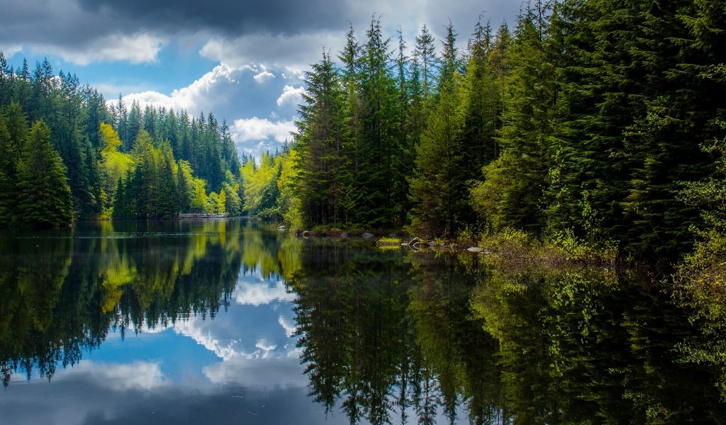 Обои озеро, лес, отражения, весна, канада, британская колумбия, lake, forest, reflection, spring, canada, british columbia разрешение 2048x1151 Загрузить