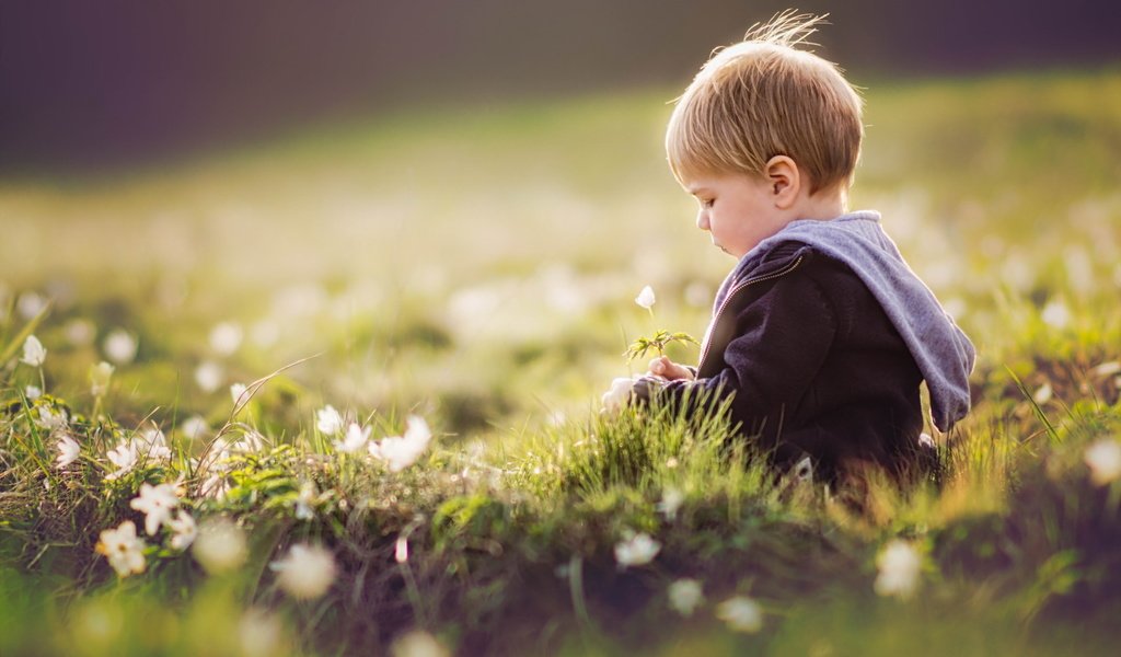 Обои цветы, трава, лето, дети, ребенок, мальчик, flowers, grass, summer, children, child, boy разрешение 1920x1280 Загрузить