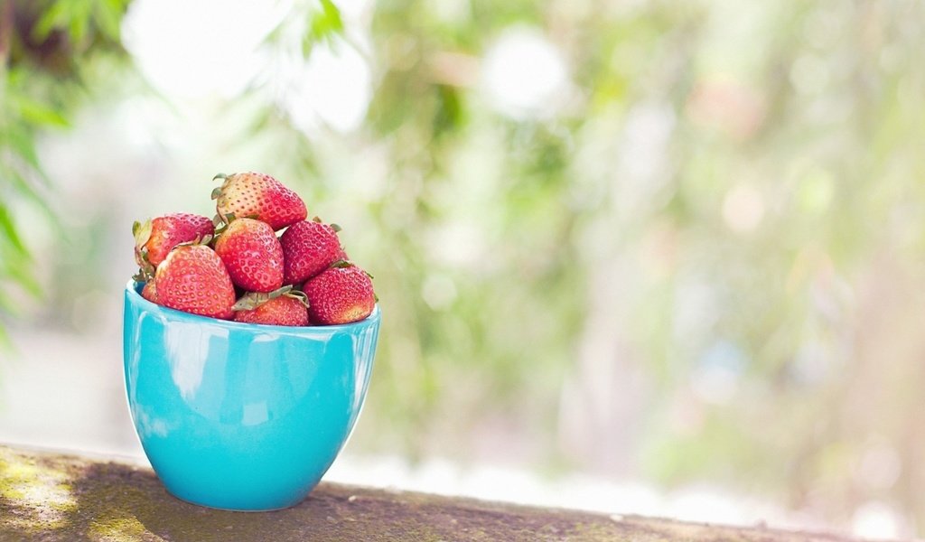 Обои листья, фон, клубника, размытость, ягоды, чашка, голубая, leaves, background, strawberry, blur, berries, cup, blue разрешение 1920x1275 Загрузить