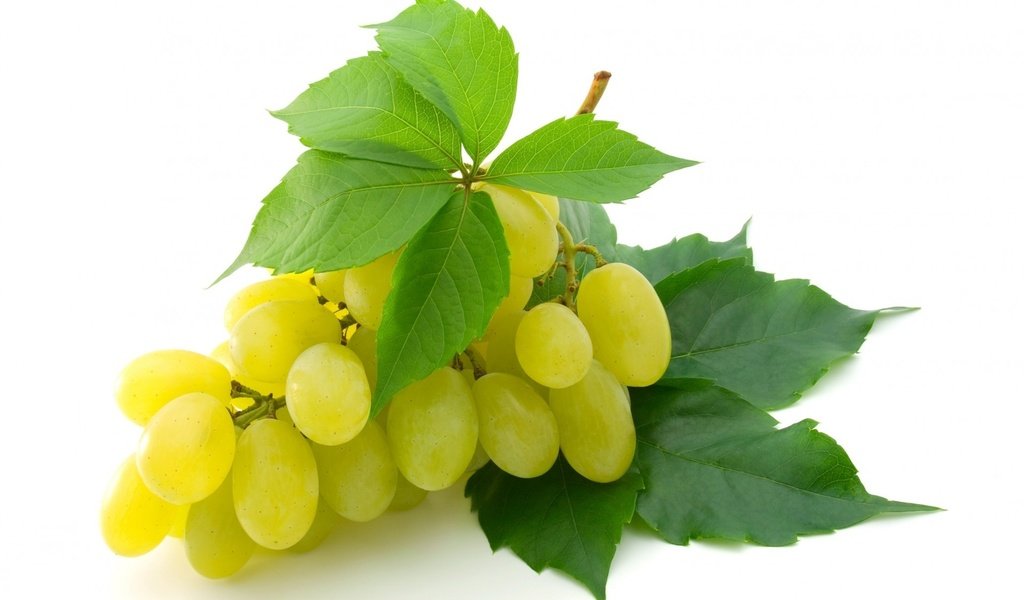 Обои желтый, листья, виноград, ягоды, белый фон, кисть, гроздь, крупный, yellow, leaves, grapes, berries, white background, brush, bunch, large разрешение 1920x1444 Загрузить