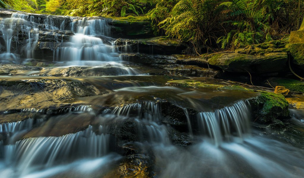 Обои вода, растения, водопад, поток, камень, мох, каскад, скалв, water, plants, waterfall, stream, stone, moss, cascade, scal разрешение 2048x1536 Загрузить