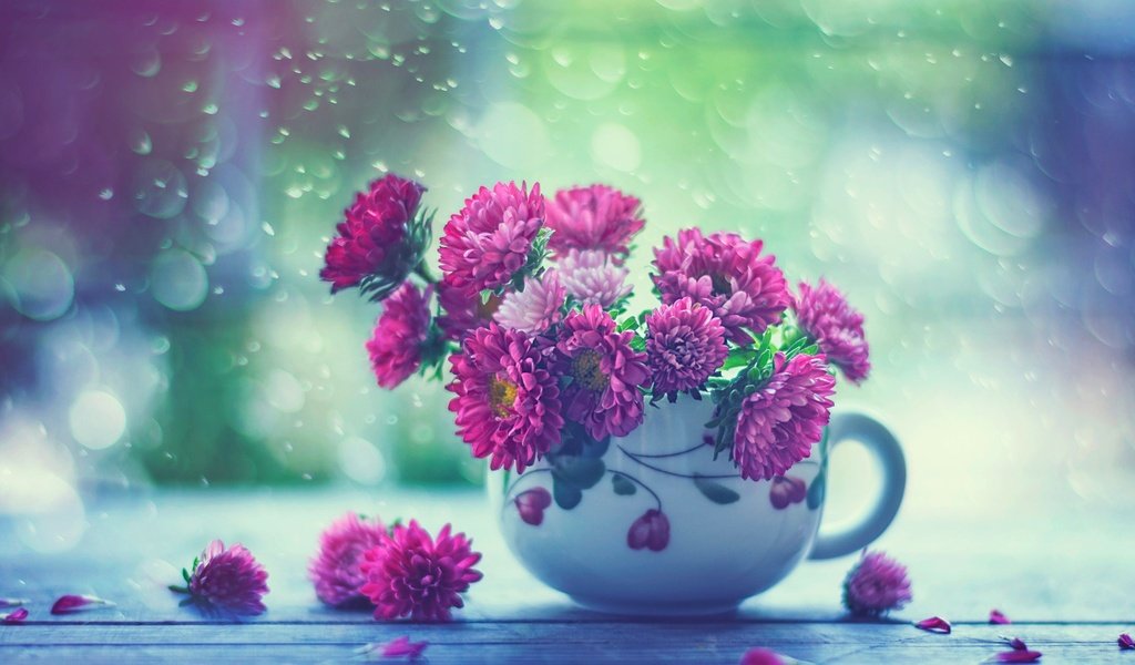 Обои цветы, капли, дождь, кружка, окно, астры, flowers, drops, rain, mug, window, asters разрешение 2048x1587 Загрузить