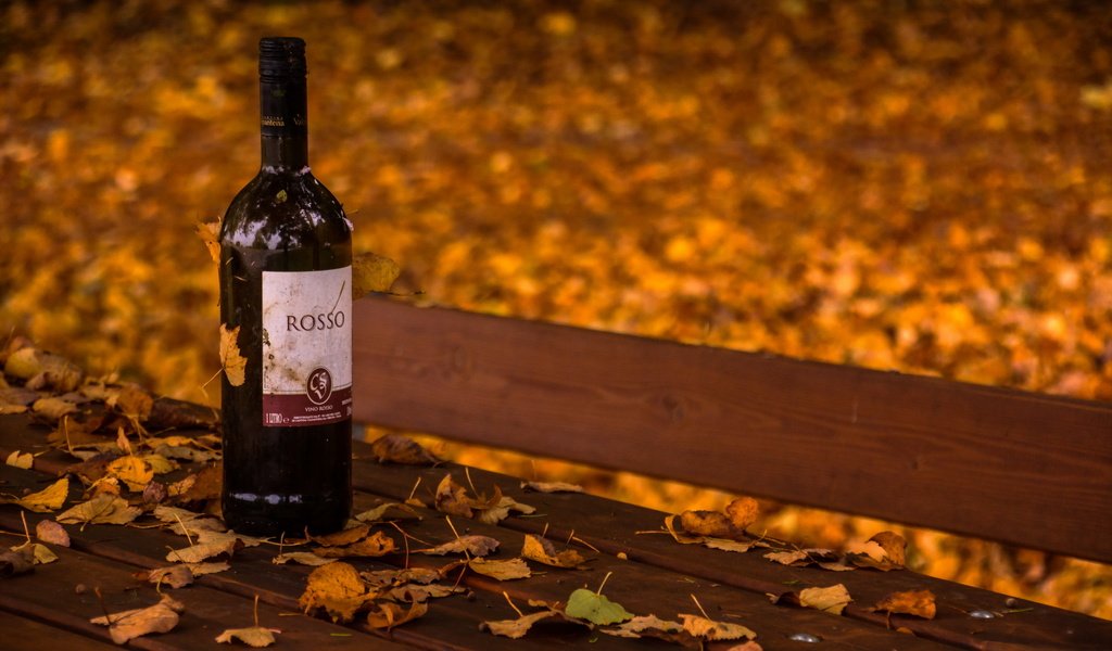 Обои листья, осень, вино, скамья, бутылка, leaves, autumn, wine, bench, bottle разрешение 2560x1707 Загрузить