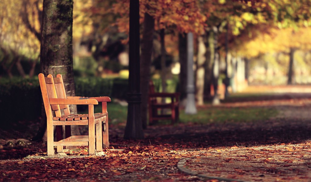 Обои деревья, листья, город, осень, улица, скамья, trees, leaves, the city, autumn, street, bench разрешение 2048x1423 Загрузить