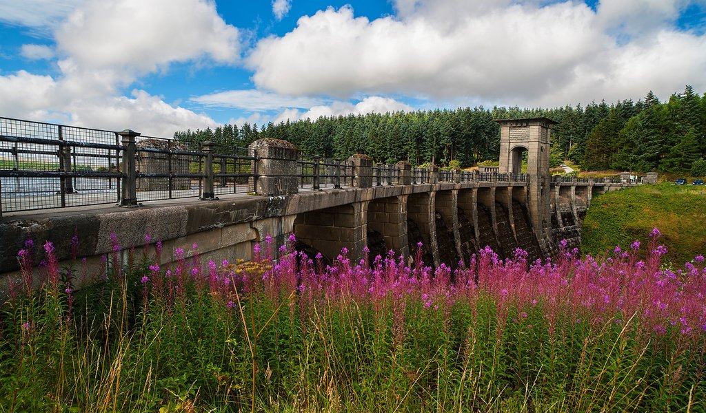 Обои небо, цветы, облака, деревья, река, лес, мост, плотина, the sky, flowers, clouds, trees, river, forest, bridge, dam разрешение 3600x2400 Загрузить