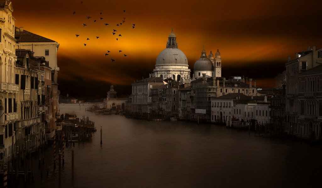 Обои закат, город, венеция, канал, птицы, италия, sunset, the city, venice, channel, birds, italy разрешение 2560x1706 Загрузить