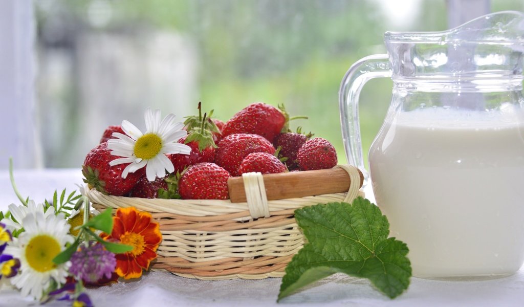 Обои цветы, клубника, ромашки, ягоды, молоко, flowers, strawberry, chamomile, berries, milk разрешение 3000x1919 Загрузить