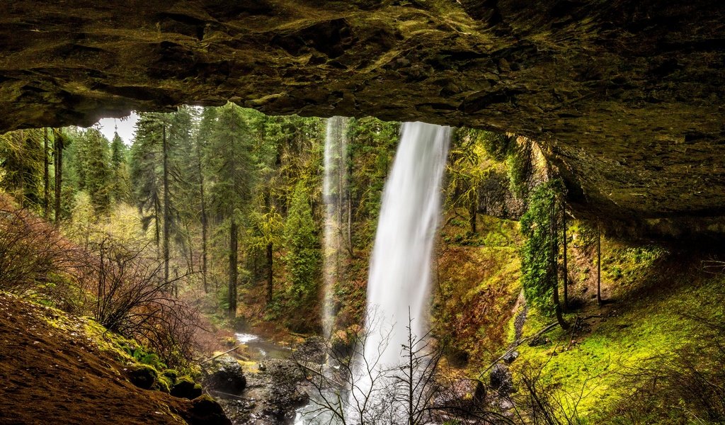 Обои деревья, камни, лес, скала, ручей, водопад, сша, silver falls state park, trees, stones, forest, rock, stream, waterfall, usa разрешение 2880x1923 Загрузить