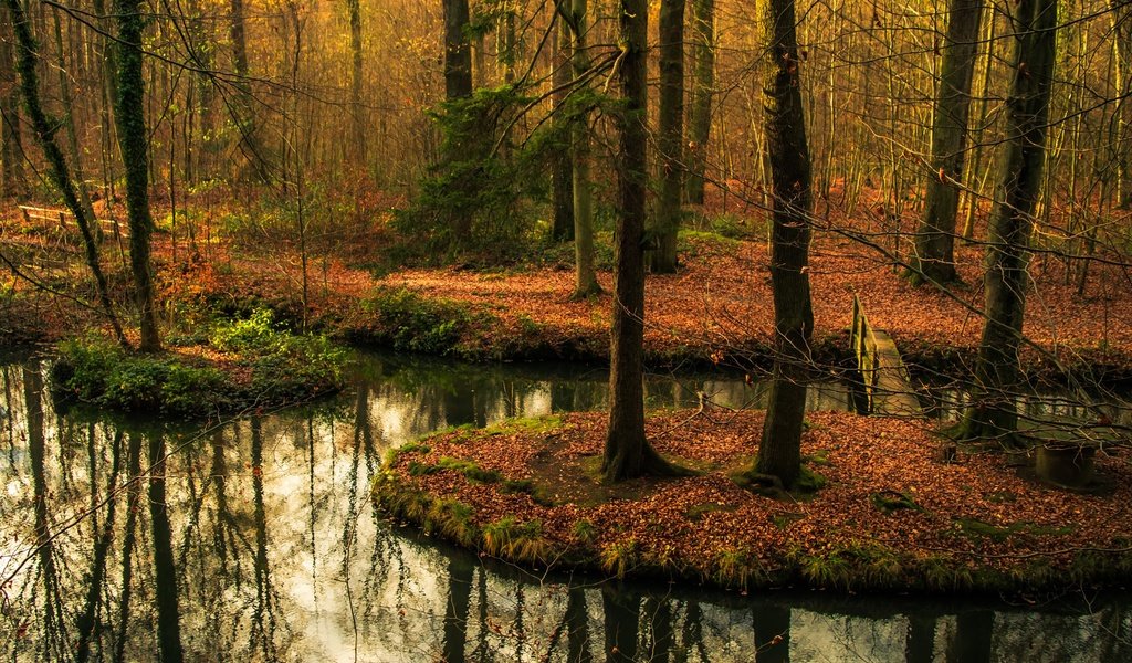 Обои деревья, вода, лес, отражение, мост, осень, водоем, осен, заркало, mirror, trees, water, forest, reflection, bridge, autumn, pond разрешение 2415x1606 Загрузить