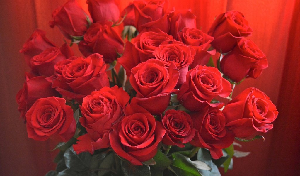 Обои цветы, бутоны, листья, розы, красные, букет, крупным планом, flowers, buds, leaves, roses, red, bouquet, closeup разрешение 2400x1601 Загрузить