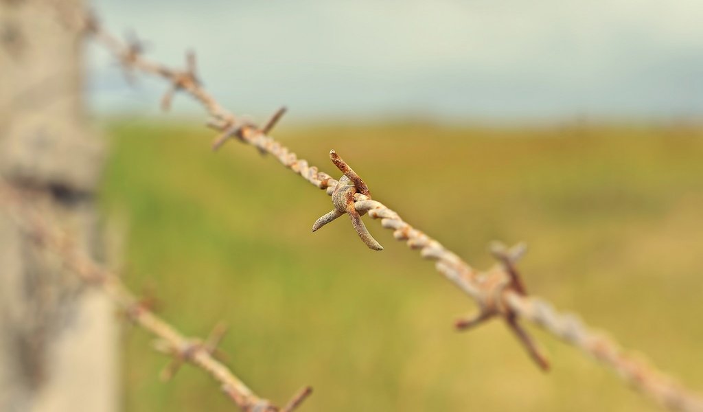 Обои макро, проволока, забор, колючая проволока, ржавая, macro, wire, the fence, barbed wire, rusty разрешение 2048x1356 Загрузить