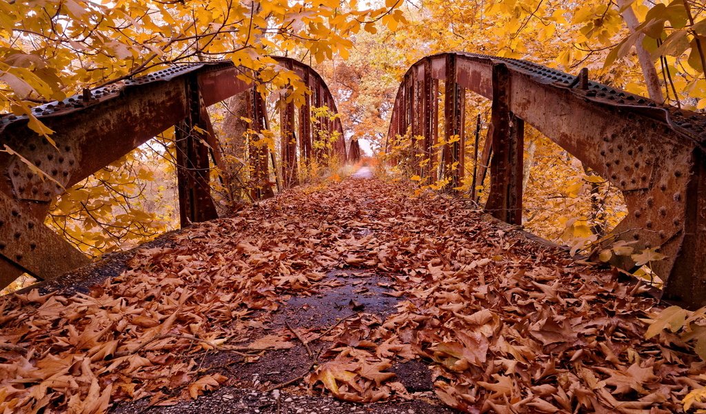 Обои деревья, листья, парк, мост, осень, trees, leaves, park, bridge, autumn разрешение 1920x1246 Загрузить