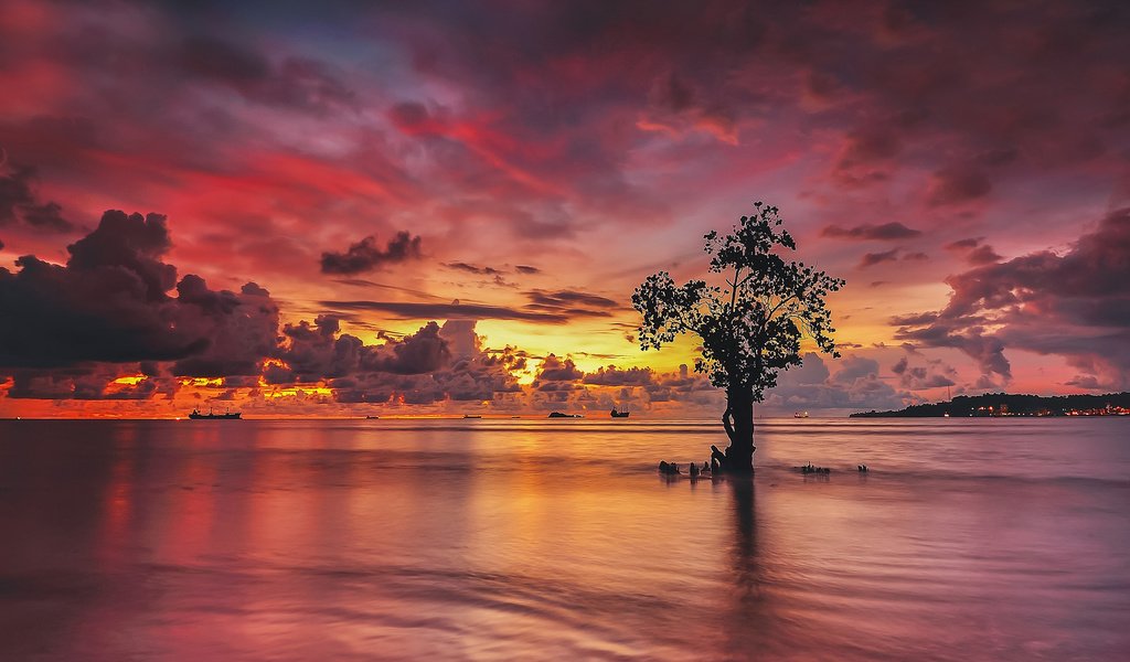 Обои облака, огни, вода, дерево, закат, отражение, корабли, clouds, lights, water, tree, sunset, reflection, ships разрешение 2048x1279 Загрузить