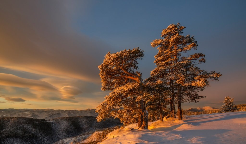 Обои небо, облака, снег, дерево, зима, утро, склон, the sky, clouds, snow, tree, winter, morning, slope разрешение 2048x1316 Загрузить