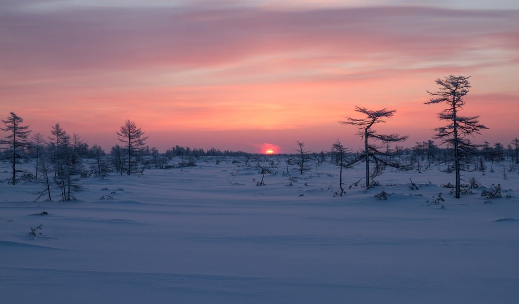 Обои деревья, восход, снег, зима, рассвет, россия, сахалин, trees, sunrise, snow, winter, dawn, russia, sakhalin разрешение 3600x2400 Загрузить