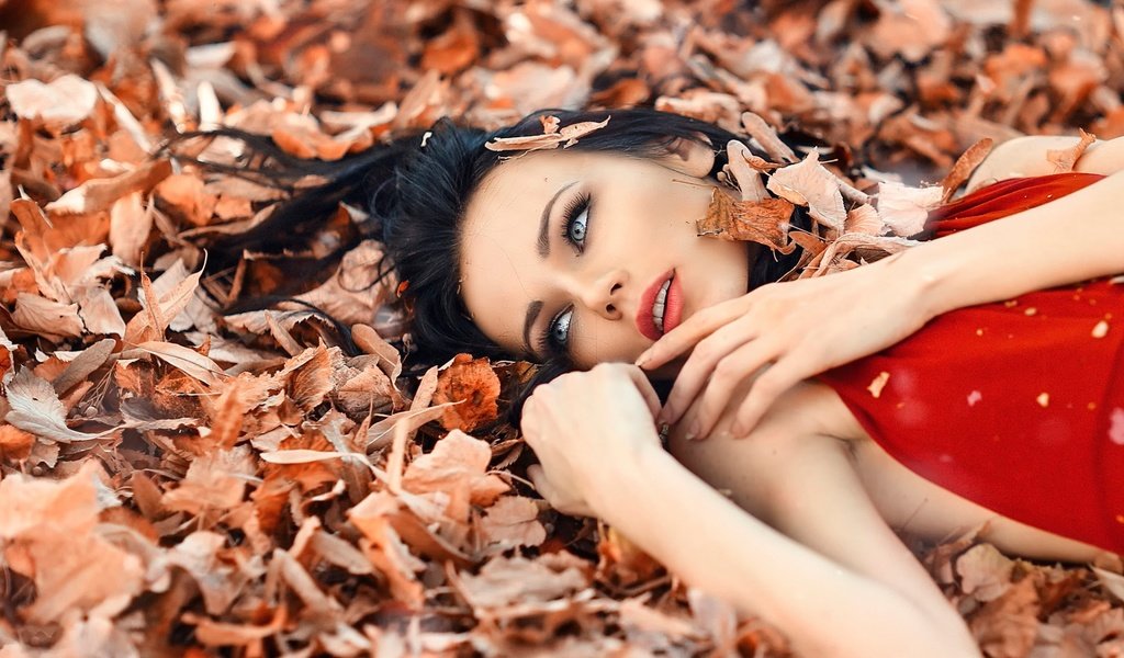 Обои глаза, листья, девушка, взгляд, волосы, макияж, eyes, leaves, girl, look, hair, makeup разрешение 1920x1200 Загрузить