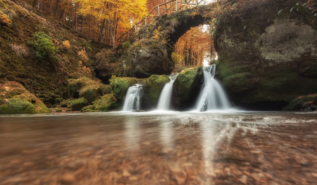 Обои река, природа, камни, лес, мост, водопад, осень, мох, river, nature, stones, forest, bridge, waterfall, autumn, moss разрешение 1920x1080 Загрузить