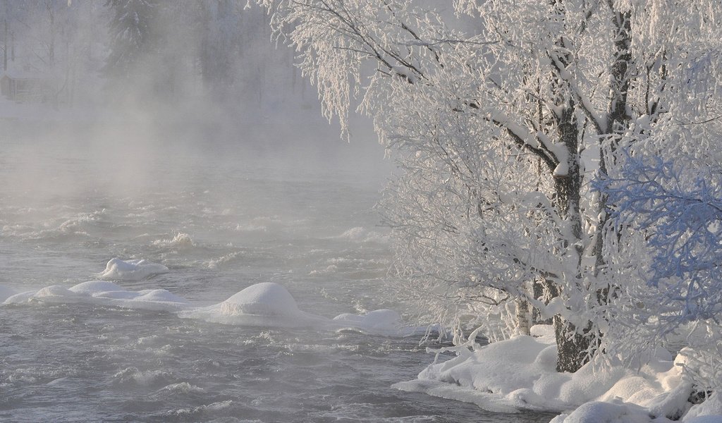 Обои река, снег, природа, дерево, лес, зима, ветки, иней, river, snow, nature, tree, forest, winter, branches, frost разрешение 1920x1200 Загрузить