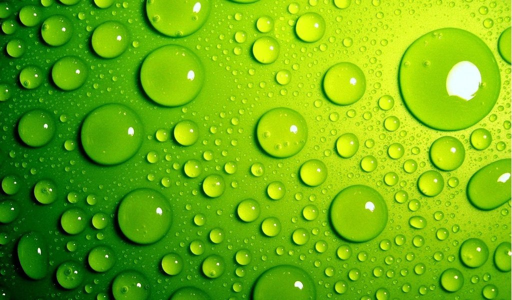 Обои зелёный, фон, капли, цвет, капли воды, green, background, drops, color, water drops разрешение 1920x1200 Загрузить