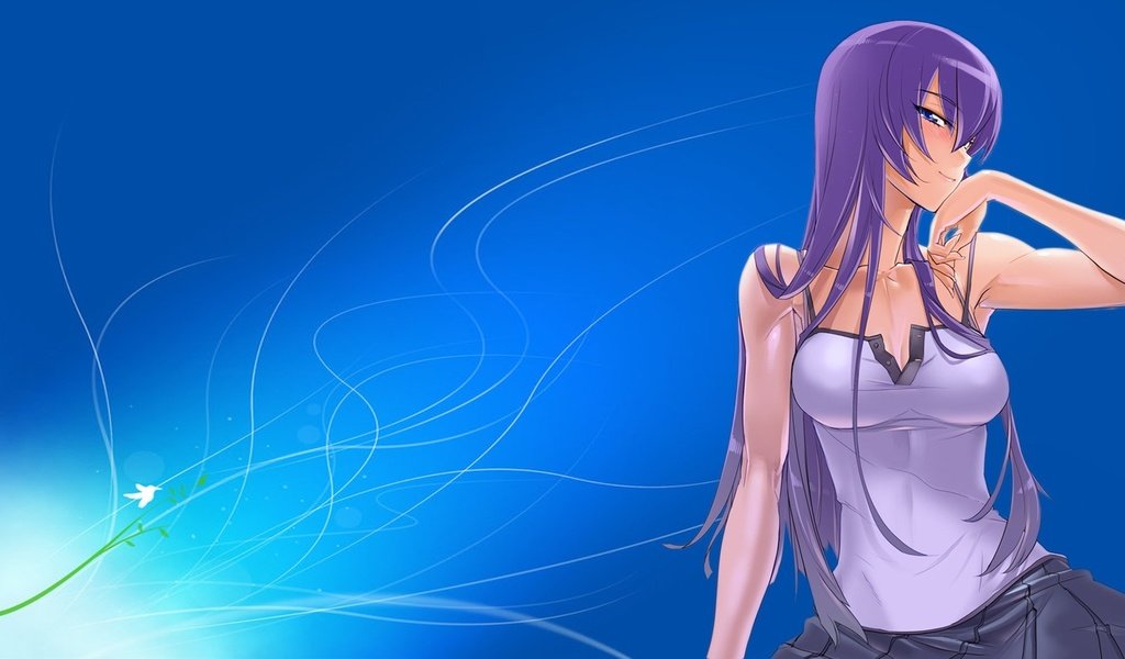 Обои девушка, аниме, волосы, highschool of the dead, busujima saeko, girl, anime, hair разрешение 1920x1080 Загрузить