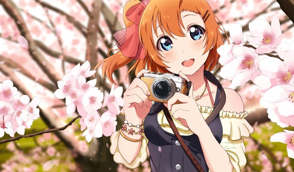 Обои улыбка, камера, love live, коусака гонока, sakura petals, smile, camera, kousaka honoka разрешение 2118x1500 Загрузить