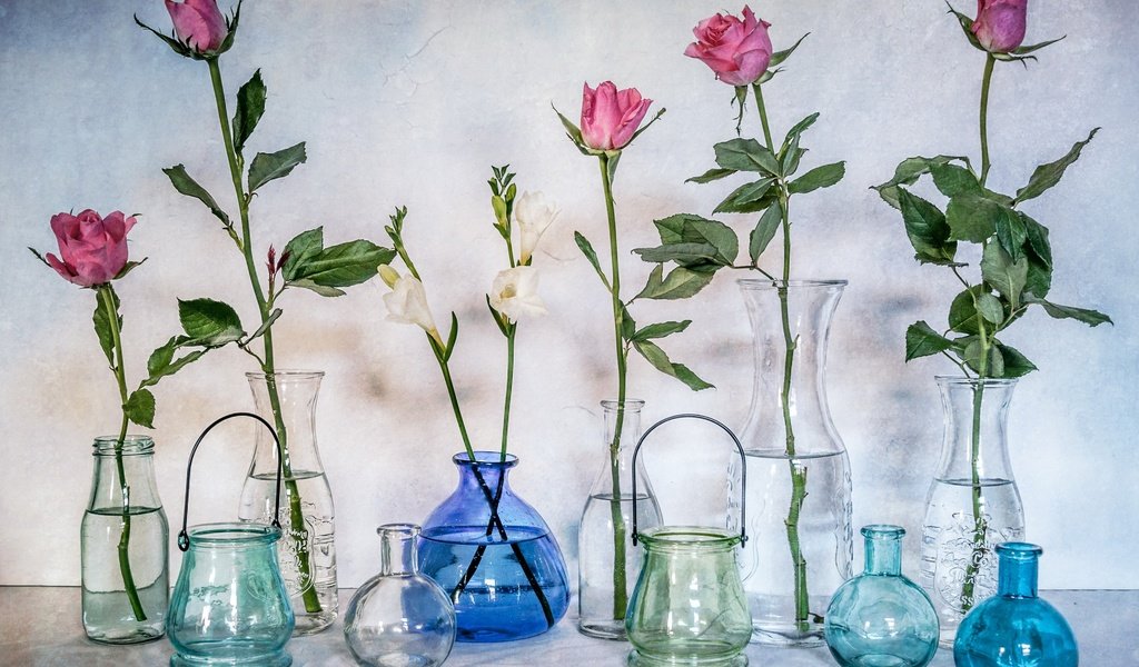 Обои цветы, розы, стекло, бутылки, натюрморт, банки, вазы, flowers, roses, glass, bottle, still life, banks, vases разрешение 2560x1761 Загрузить