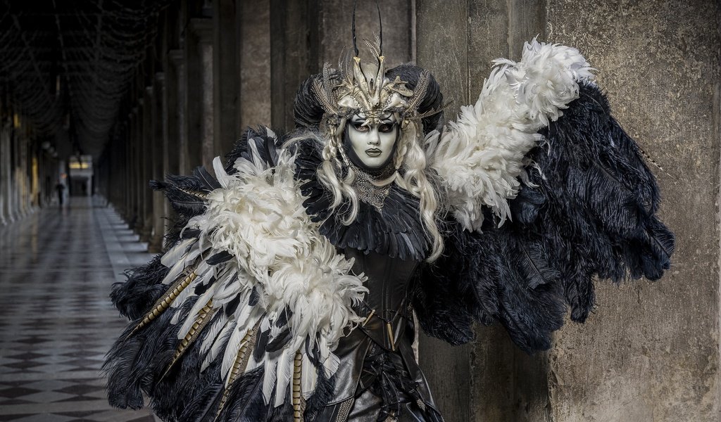 Обои маска, перья, костюм, карнавал, mask, feathers, costume, carnival разрешение 2048x1367 Загрузить
