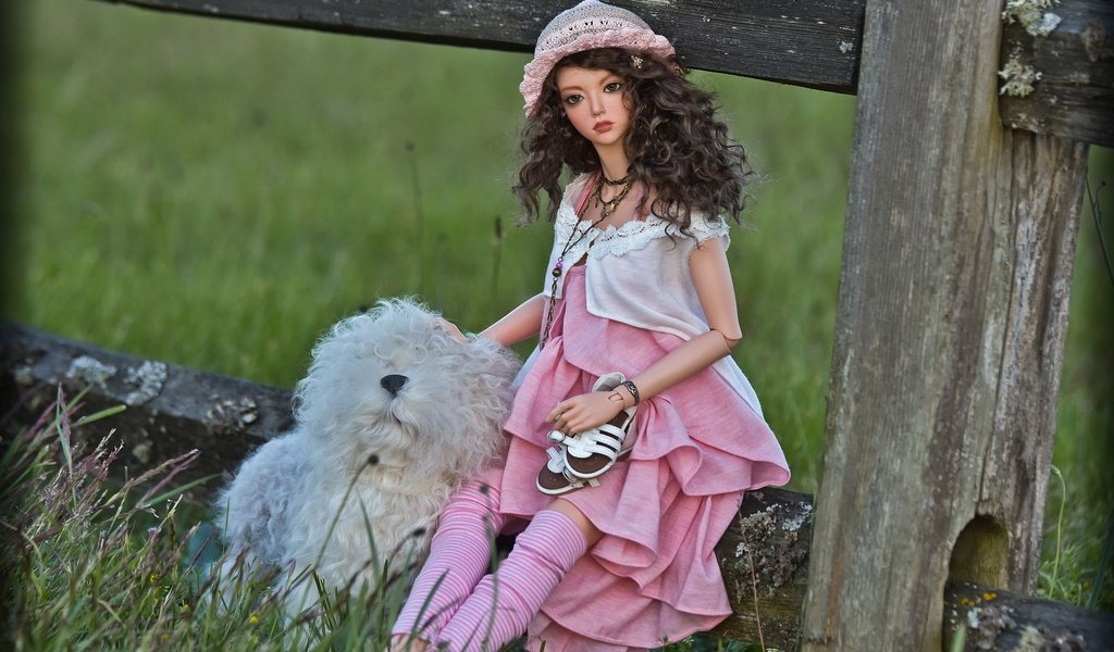 Обои трава, забор, собака, кукла, волосы, лицо, игрушки, шляпка, grass, the fence, dog, doll, hair, face, toys, hat разрешение 2000x1334 Загрузить