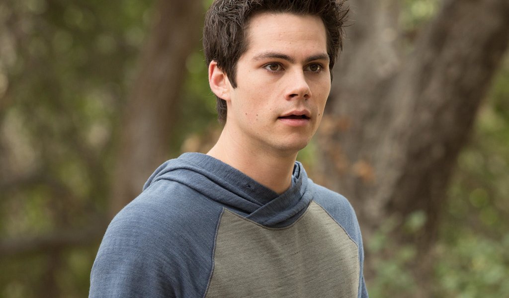 Обои взгляд, актёр, лицо, дилан о’брайен, look, actor, face, dylan o'brien разрешение 2070x1380 Загрузить