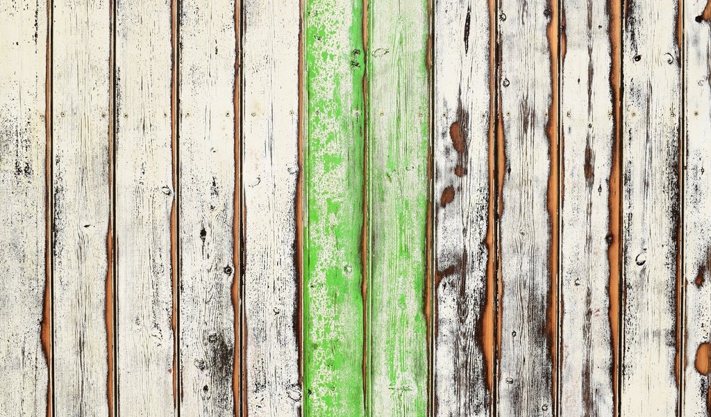 Обои дерево, текстура, забор, доски, ограда, tree, texture, the fence, board, fence разрешение 2880x1920 Загрузить