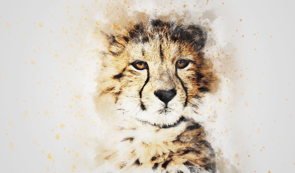 Обои морда, картина, взгляд, гепард, акварель, face, picture, look, cheetah, watercolor разрешение 3000x2000 Загрузить