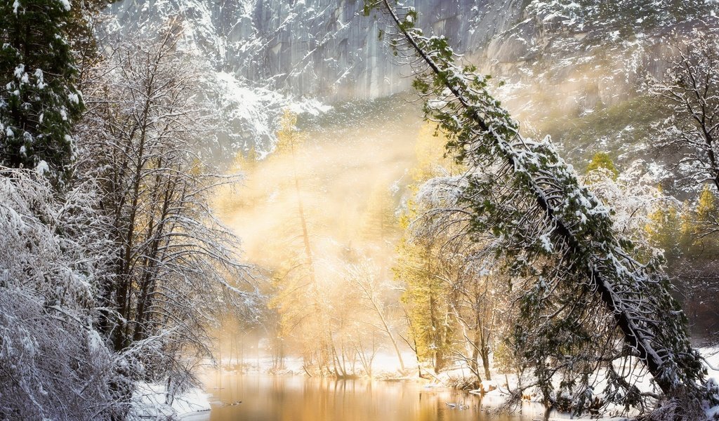 Обои река, солнце, природа, лес, зима, river, the sun, nature, forest, winter разрешение 2710x1750 Загрузить