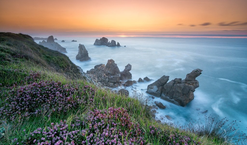 Обои цветы, скалы, берег, море, flowers, rocks, shore, sea разрешение 2048x1366 Загрузить