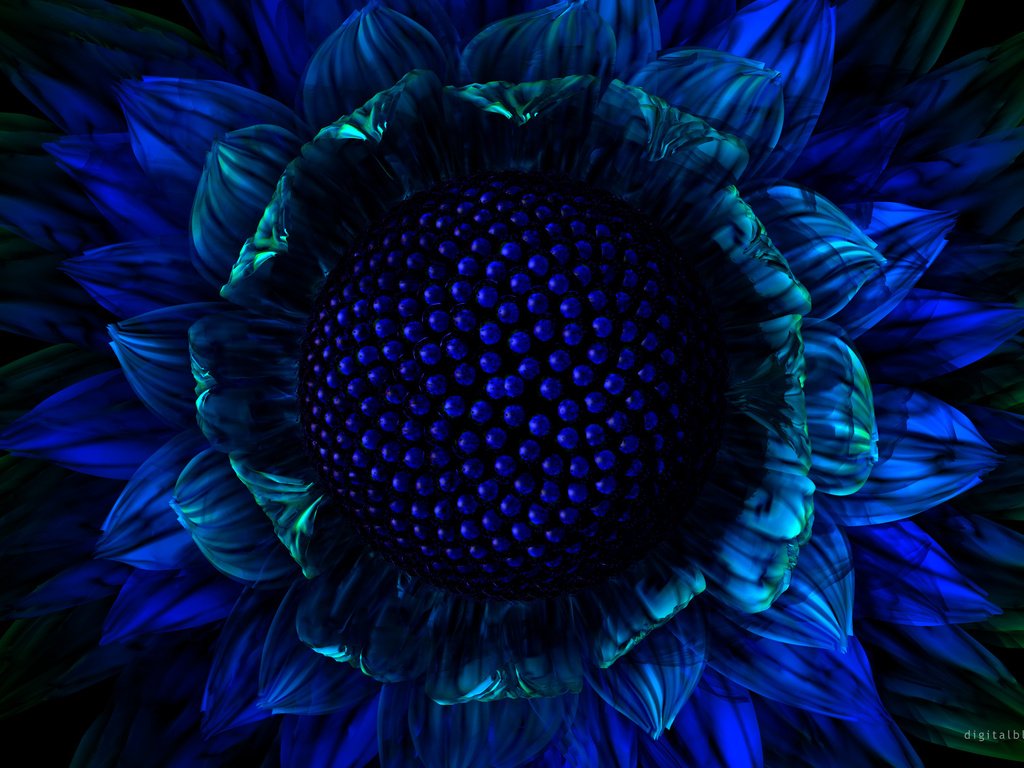 Обои синий, цветок, графика, blue, flower, graphics разрешение 2560x1600 Загрузить